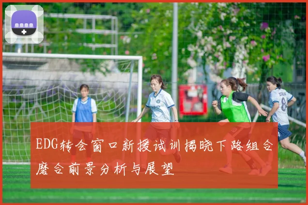 EDG转会窗口新援试训揭晓下路组合磨合前景分析与展望